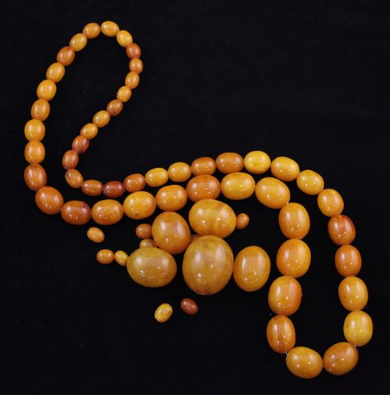 A single strand graduated amber bead necklace,